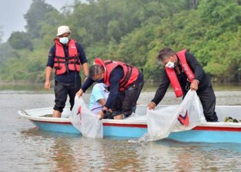 AZMAN Ibrahim (tengah) melepaskan benih ikan seperti udang galah, baung, lampan, kelah dan sebarau di Sungai Dungun di Dungun hari ini.