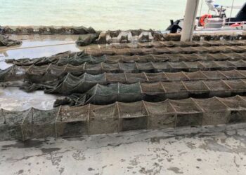 SEBANYAK 11 set bubu naga yang diharamkan penggunaannya dirampas Maritim Malaysia sepanjang tiga hari rondaan Op Benteng Laut bermula 15 November lalu di Pulau Gedong, Pulau Pinang.
