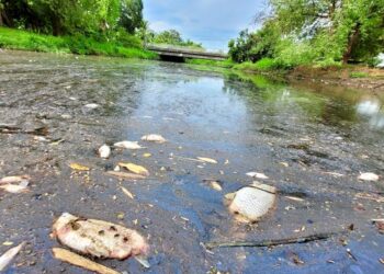 Pindaan Akta Kualiti Alam Sekeliling 1974 (AKAS 1974) bukan sahaja perlu merangkumi denda sehingga RM10 juta, tetapi pesalah perlu membayar semula kos pemulihan kawasan yang tercemar.  - GAMBAR HIASAN