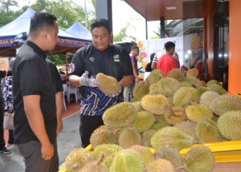 PEGAWAI FAMA Negeri Sembilan, Mohd. Afandi menunjukkan durian kampung yang turut dijual sempena program 'Jom Makan Durian Kampung’ di Hab Pengedaran FAMA di Jalan Labu, Seremban hari ini. UTUSAN/ZAKKINA WATI AHMAD TARMIZI.