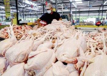 PERBUATAN kartel, integrator menipu harga ayam peringkat ladang dikatakan menjadi punca harga bahan makanan itu meningkat di pasaran.