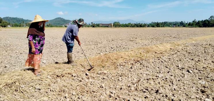 Pesawah lega terus terima bantuan