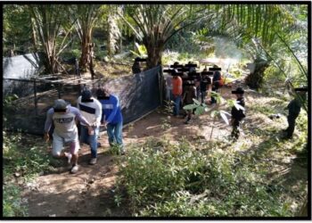 Polis Johor menahan  318 individu atas pelbagai kesalahan membabitkan penyalahgunaan dadah dalam Op Tapis Khas  bermula 21 Jun lalu.