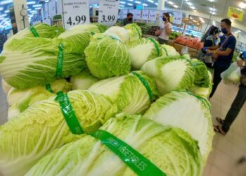 Banyak sayur yang diimport antara punca harganya melambung walhal ia boleh ditanam di negara ini.