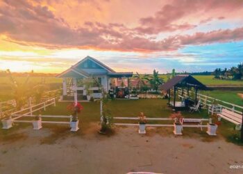 Bahagian hadapan menuju masuk ke tiny house dihiasi bunga sebagai landskap utama.