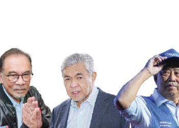 PERDAMAIAN antara parti politik besar adalah demi tanah air tercinta agar stabil kembali.