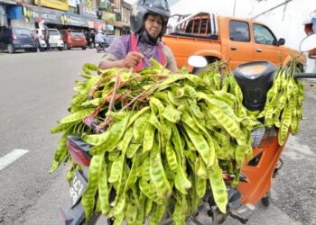 ZAHARAH Che Wil menjaja petai  dengan menunggang motosikal yang uzur di pekan Rantau Panjang, Kelantan hari ini-UTUSAN/ ROHANA ISMAIL.