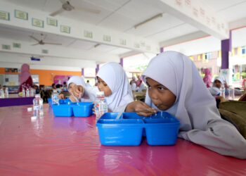 PROMAK adalah tambahan kepada program Rancangan Makanan Tambahan (RMT) bagi membantu menangani isu malnutrisi dalam kalangan murid sekolah.