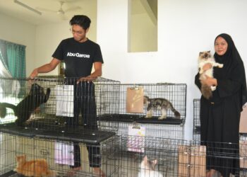 NORHAMIMAH Jefri  dan suaminya, Mohd. Khairi menjalankan perkhidmatan hotel kucing menjelang perayaan Hari Raya Aidilfitri ketika ditemui di Taman Warisan Puteri, Seremban, kelmarin.-UTUSAN/ZAKKINA WATI AHMAD TARMIZI.