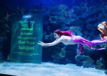 ANTARA duyung yang menjadi tarikan di Aquaria KLCC.