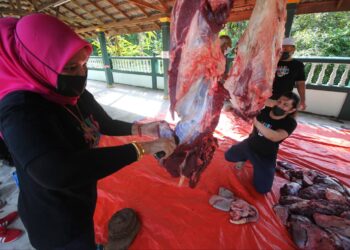 MOHD. Faizul Rohban (dua kanan) memotong daging lembu sado yang ditumbangkan sempena Hari Raya Aidiladha di Tumpat, Kelantan hari ini. - UTUSAN/ZULHANIFA SIDEK