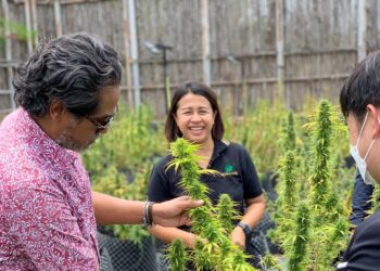 KHAIRY Jamaluddin melawat kawasan penanaman pokok ganja seluas 350 ekar di Pattaya, Thailand bagi tujuan produk  dan perkhidmatan kesihatan.