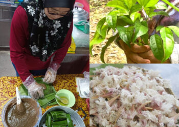 Kaedah menghasilkan Lepat Chicha dan Lepat Semelit mudah, tetapi tidak ramai yang mahir membuatnya.