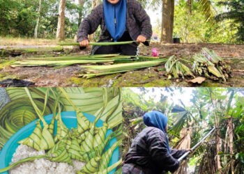 Noor Heilrina Nazilah Othman menjual daun palas secara pukal kepada peniaga.