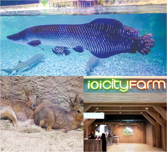 ioi city farm