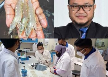 Pasukan penyelidik diketuai Nor Azman sedang melakukan pengiraan komposisi bakteria dalam penghasil teknologi biofloc.