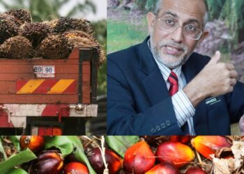 EU memaklumkan persetujuan mengharamkan import beberapa produk pemacu penebangan hutan, antara terlibat adalah produk sawit.
(Atas kanan). Ahmad Parveez Ghulam Kadir.