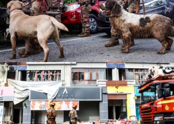 Unit Pengesan (K9), Jabatan Bomba dan Penyelamat Malaysia (JBPM) terlibat dalam pelbagai operasi mencari dan menyelamat (SAR).