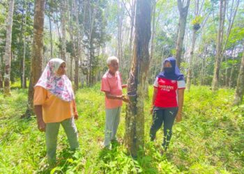 ASMAH Othman (kiri), Mat Dilu Selat, dan Norfazlina Mat Dilu (kanan) gusar mengenangkan nasib mereka sebagai pekebun dan penoreh getah ekoran pendapatan rendah yang diperoleh mereka pada setiap bulan. - UTUSAN/NORHAFIZAN ZULKIFLI