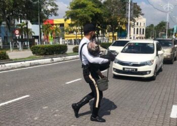 GAMBAR tular di media sosial seorang anggota polis trafik mengangkat warga emas yang pengsan di Jalan Sungai Ujong, Seremban sehingga mendapat komen positif warganet. GAMBAR/MEDIA SOSIAL