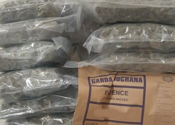 DADAH yang dirampas dalam operasi tersebut. - PEJABAT MEDIA GARDA