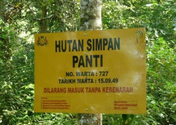 KEMASUKAN ke kawasan pendakian dan rekreasi di Hutan Simpanan Kekal Panti tanpa permit merupakan suatu kesalahan di bawah Seksyen 47 Akta 313.