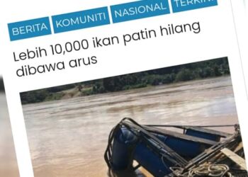 KERATAN laporan Utusan Online semalam berhubung berita penternak ikan patin kerugian setelah sangkar diusahakan rosak akibat banjir.