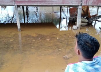 SEORANG penduduk melihat air yang masih membanjiri bahagian bawah rumahnya di Kampung Seberang Batu Badak, Segamat.