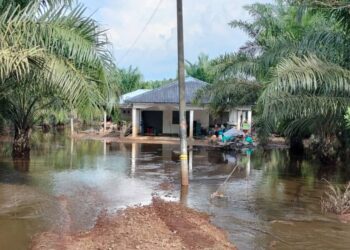HALAMAN sebuah rumah penduduk berhampiran Sungai Terusan di Parit Yaani, Batu Pahat masih digenangi air walaupun banjir hampir surut.