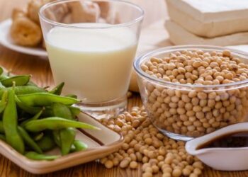 Tiada bukti jelas yang menunjukkan bahawa dengan memakan kacang soya organisma terubah suai genetik (GMO) atau produknya akan memberi kesan yang buruk daripada segi kesihatan.