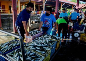 Kerenah birokrasi segelintir pegawai kerajaan merisikokan Malaysia berdepan  kekurangan stok bekalan ikan.- Gambar hiasan