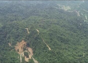 TANGKAP layar kawasan cadangan projek perlombongan bijih besi di Hutan Simpanan Kekal Sokor Taku di Kelantan. - FOTO/IHSAN JAS
