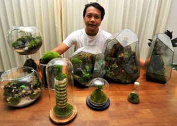 ZULHAIRUN Abdul Karim bersama terrarium dihasilkannya.