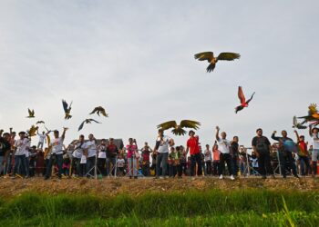 SEBAHAGIAN daripada 200 ekor burung kakak tua yang dilepaskan bebas terbang di udara pada program Terengganu Free Fly Gathering 2023 di Mini Zoo Kampung Tok Dir, Kuala Terengganu. - UTUSAN/PUQTRA HAIRRY ROSLI