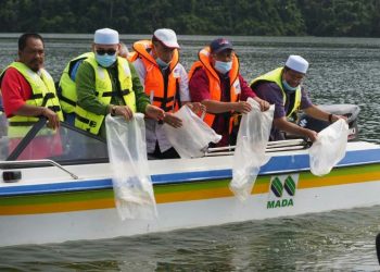 AHMAD Tarmizi Sulaiman (kanan) melepaskan benih ikan ke dalam Tasik Gubir,  Sik semalam.