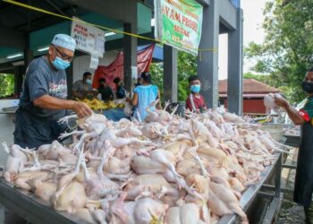 Peniaga tidak boleh manaikkan harga ayam sesuka hati.