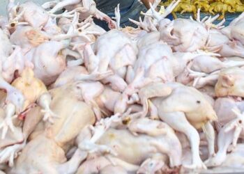 KERAJAAN akan mengambil tindakan undang-undang sekiranya wujud kartel mengawal harga dan pengeluaran ayam.