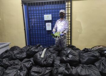 MARITIM Malaysia Zon Maritim Kuala Perlis menggagalkan cubaan menyeludup keluar 400 kilogram daun ketum di kedudukan 0.3 batu nautika daripada muara Sungai Kuala Perlis, Perlis semalam.