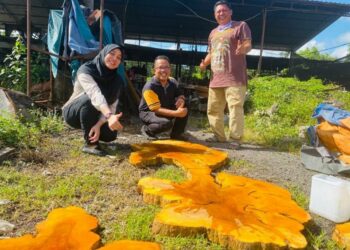 MOHAMAD Awik (kanan) menunjukkan kayu medang kunyit berwarna kuning diraja yang dijadikan meja menggunakan teknologi resin epoksi di Kampung Peragap, Temerloh, Pahang.