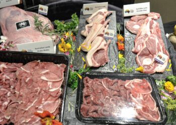 Kepakaran diperlukan bagi menentukan kesahihan halal sesuatu produk - GAMBAR HIASAN