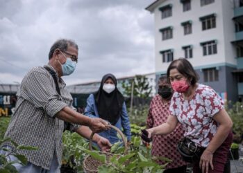 Melalui projek tersebut, komuniti diberikan tunjuk ajar melakukan proses pengkomposan vermi yang dapat memanfaatkan sisa makanan untuk dijadikan kompos bahan tanaman.