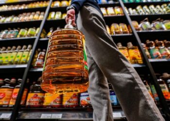 PERKEMBANGAN pesat perusahaan minyak sawit menjadi ‘ancaman’ kepada minyak sayuran lain. – UTUSAN/AFIQ RAZALI