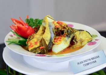 Ikan patin masak tempoyak.