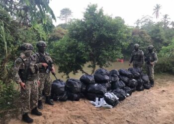 ANGGOTA ATM menunjukkan bungkusan daun ketum yang dirampas di tebing Sungai Golok di Kampung Nibong, Tanah Merah, Kelantan, semalam.