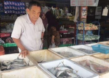 AHMAD Daud melihat bekalan ikan segar yang dijual di kedainya di Ketereh, Kota Bharu, Kelantan. - FOTO/ROSMIZAN RESDI