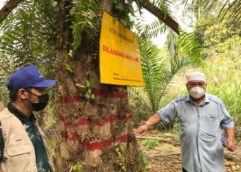 ABDUL Khalim Abu Samah menunjukkan papan tanda dipasang di kawasan penerokaan haram di HSK Relai, Ladang Serasa, Gua Musang hari ini. - FOTO/ROSLZA MOHAMED