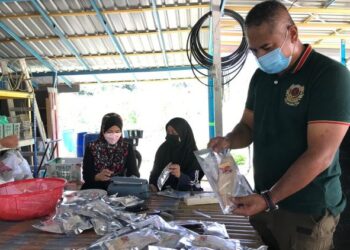 MOHD. Jailani Mat Jusoh menunjukkan ikan pekasam yang dihasilkan di Kampung Lepan Jaya, Gua Musang, Kelantan. - UTUSAN/AIMUNI TUAN LAH