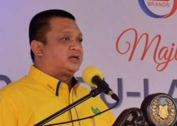 TUANKU SYED FAIZUDDIN PUTRA JAMALULLAIL