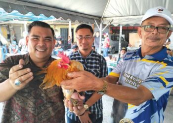 SUZAINAL Adnan Sukri (kiri) bersama Zainie Abdullah dari Perlis menunjukkan ayam serama miliknya yang menjuarai Pertandingan Kesenian dan Kecantikan Warisan Ayam Serama Kelantan di Tendong, Pasir Mas, Kelantan. - UTUSAN/ROHANA ISMAIL
