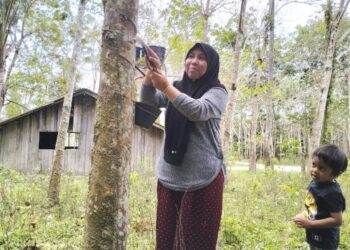 MAIZATUL Akna Mohd. Noh membawa anak bongsunya keluar menoreh seawal jam 8 pagi di Kampung Serongga, Pasir Mas, Kelantan. – FOTO/ROHANA ISMAIL